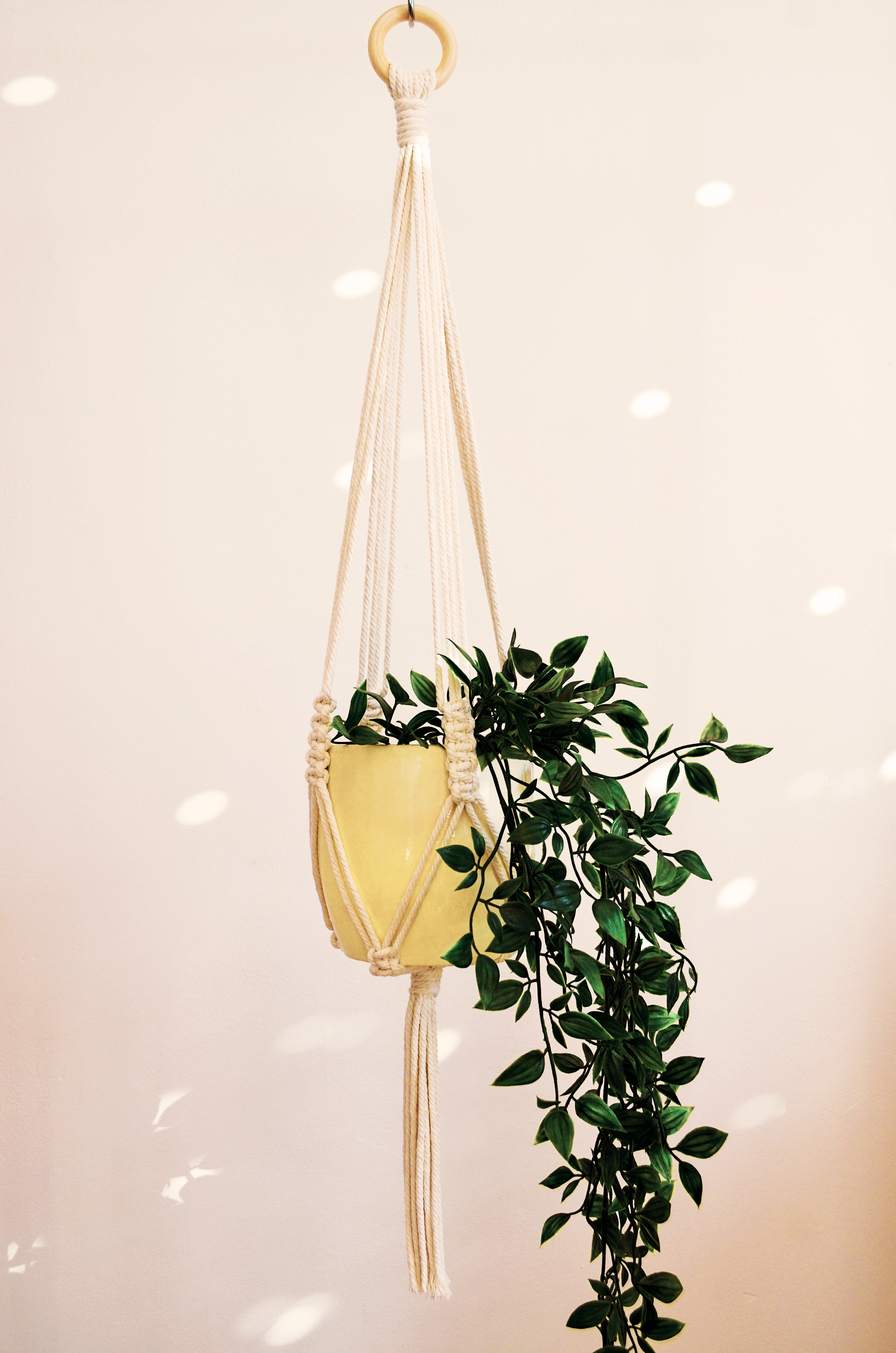 Plant Hangers