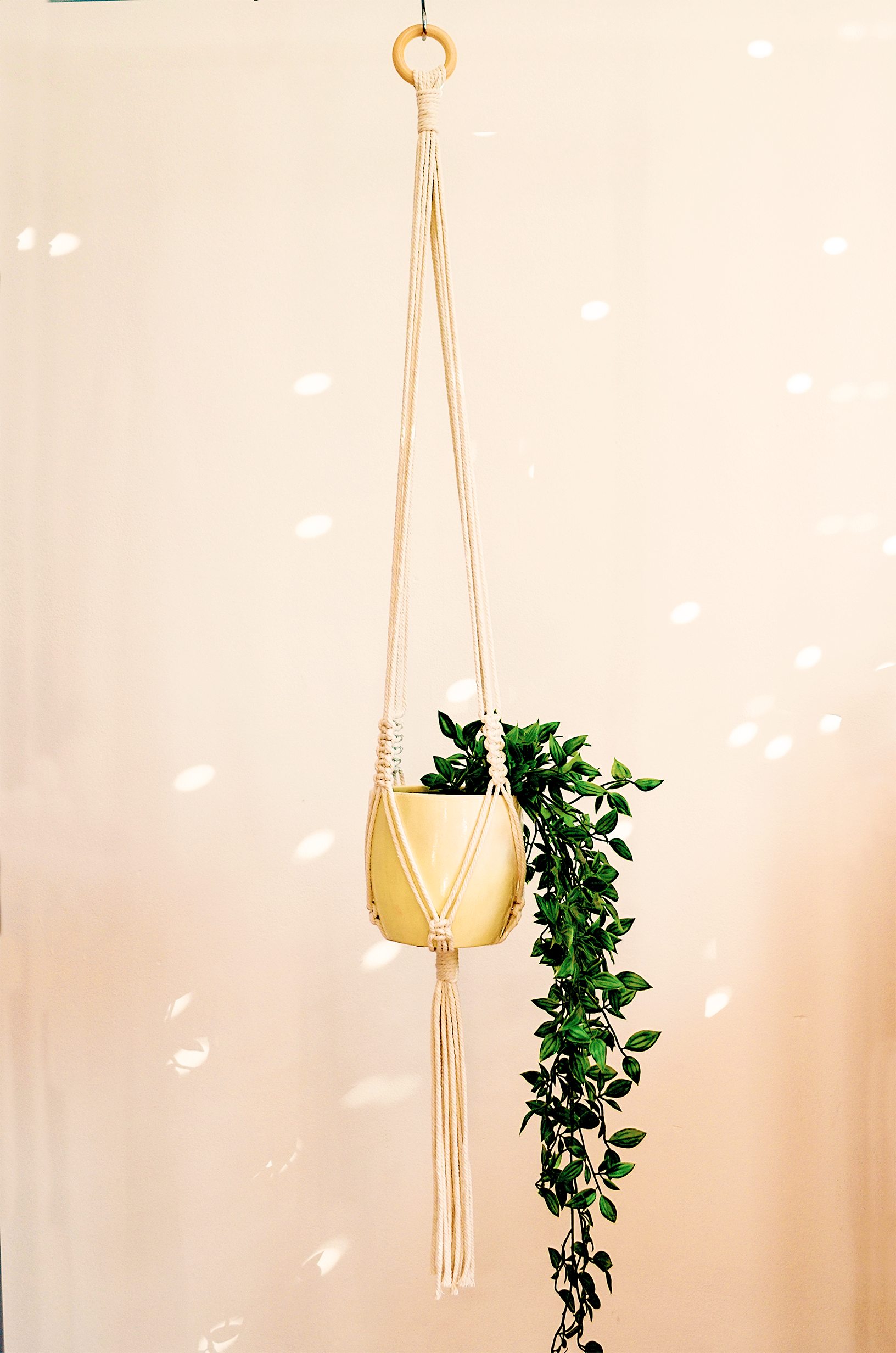 Minimalist Plant Hanger (Large)