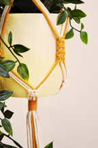 Deluxe Daisy Plant Hanger