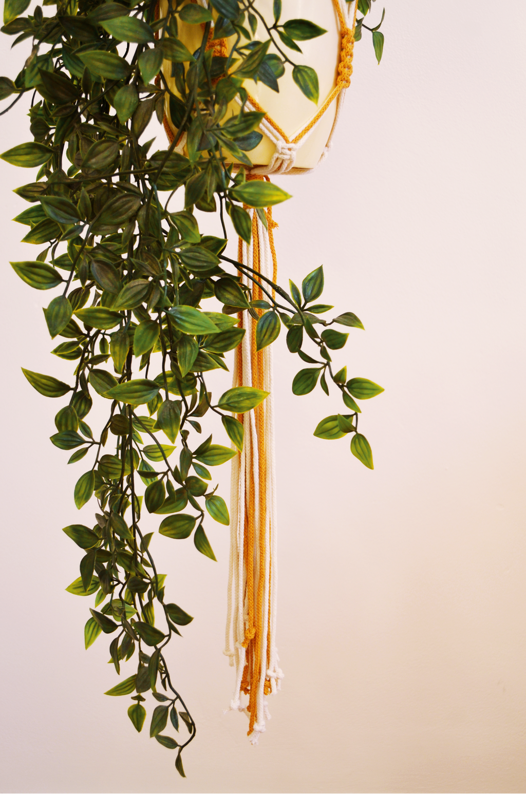 Deluxe Daisy Plant Hanger
