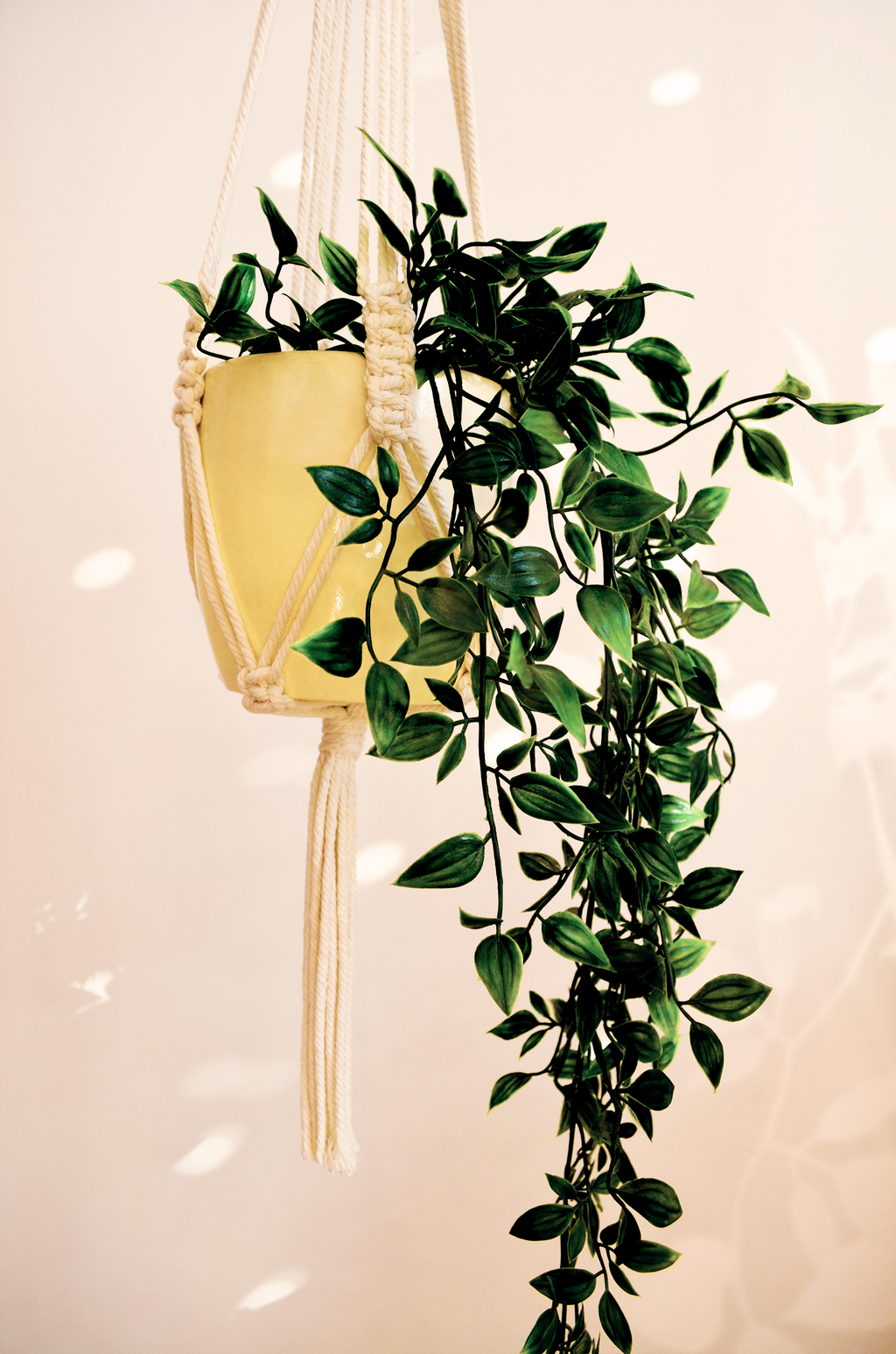 Minimalist Plant Hanger (Small)