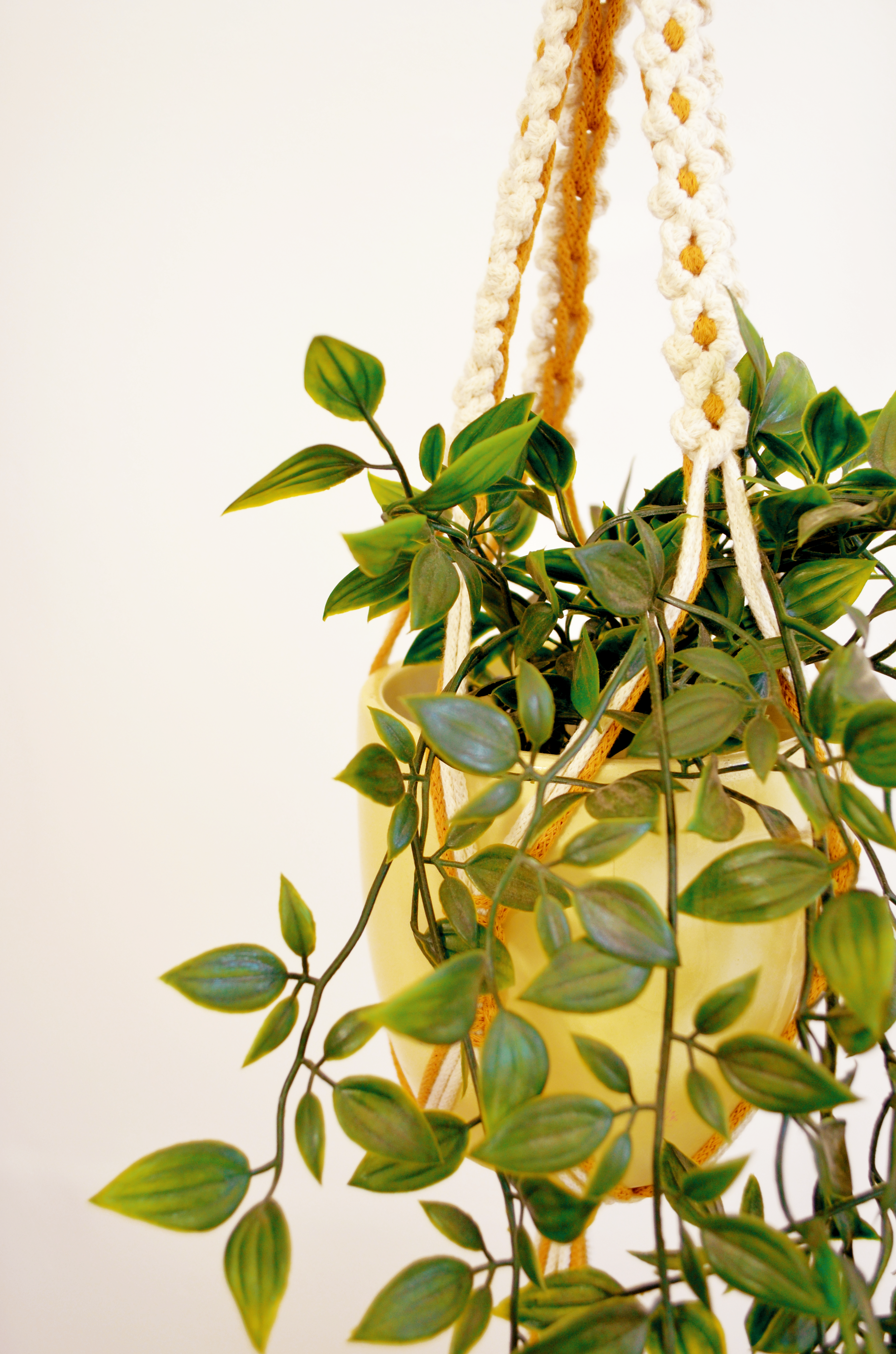 Didi Daisy Plant Hanger