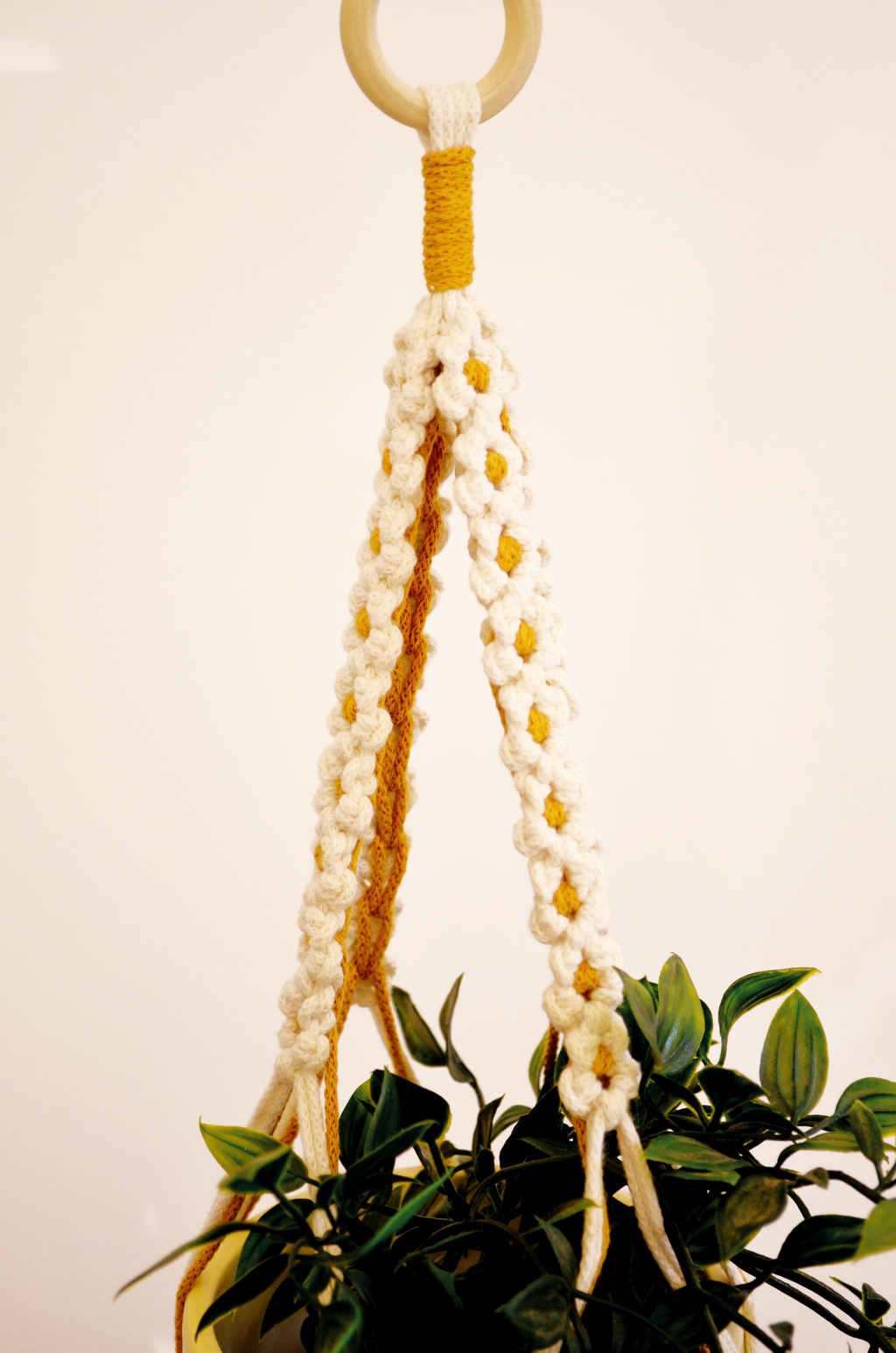Didi Daisy Plant Hanger