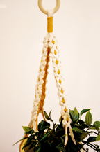 Didi Daisy Plant Hanger